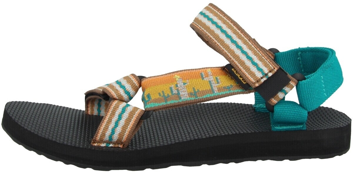 teva cactus