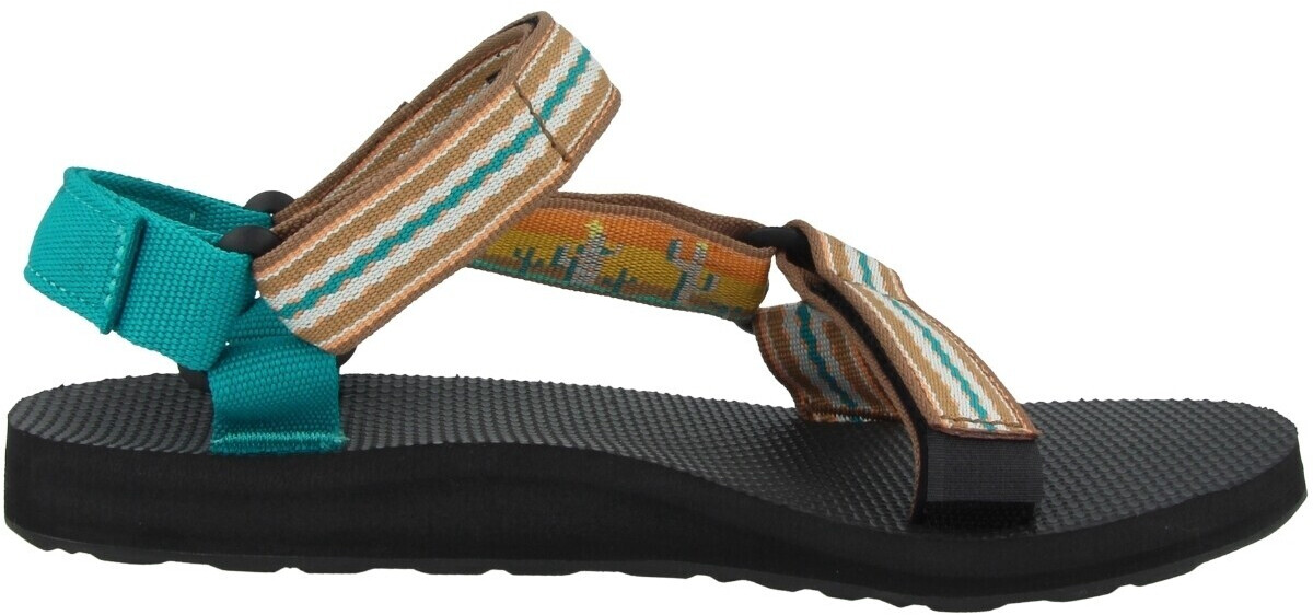 teva cactus