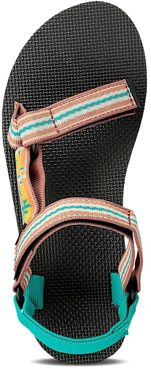 teva cactus