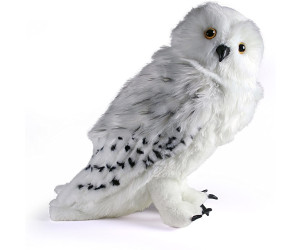 La chouette Harfang  Harry potter hedwig, Harry potter cosplay, Harry  potter