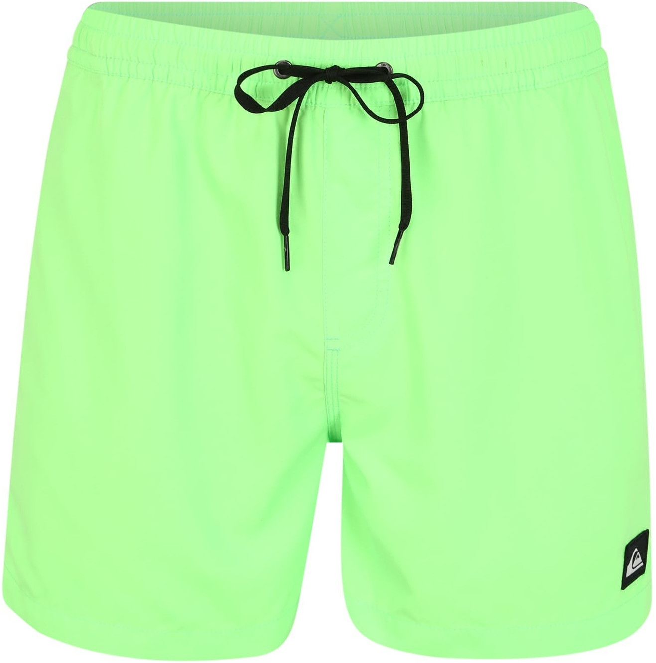 Photos - Swimwear Quiksilver Everyday 15 Swim shorts  green gecko (EQYJV03531)