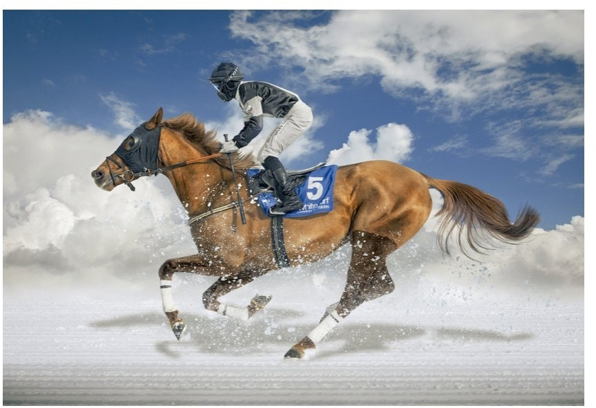 Educa Borrás Finale De White Turf Saint Moritz (1500 pièces)