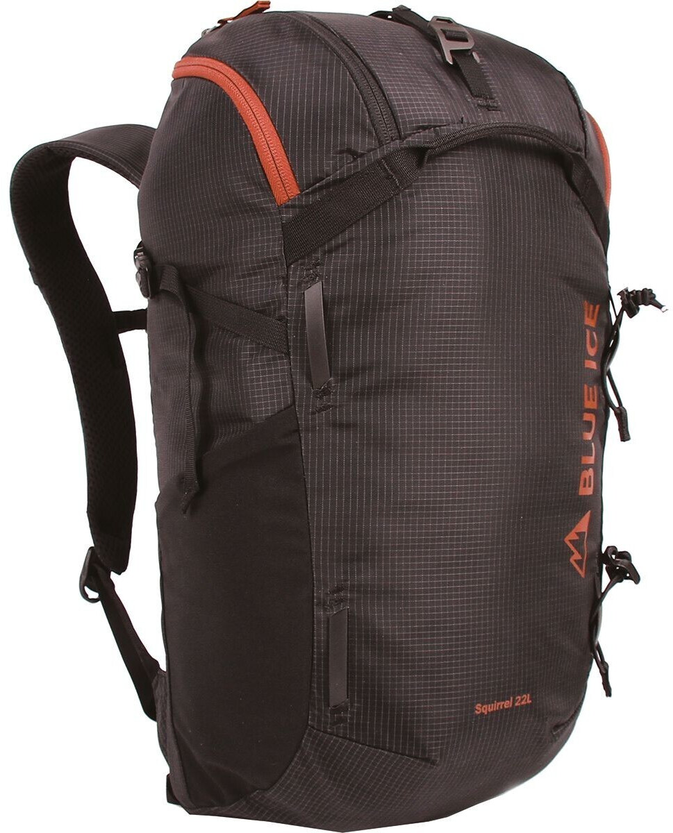 Blue Ice Squirrel 22 black