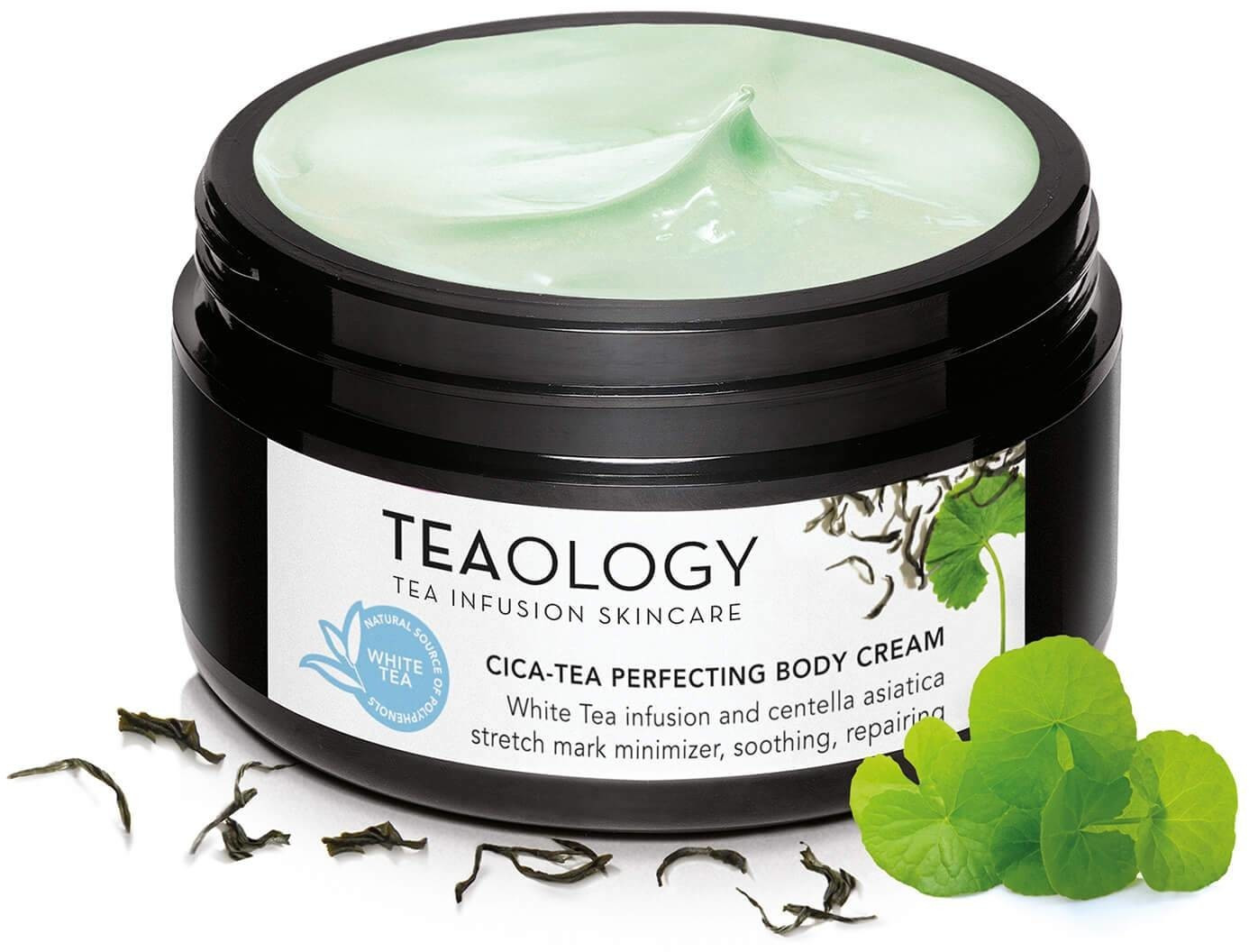 Teaology Cica Tea Perfecting Body Cream (300ml)