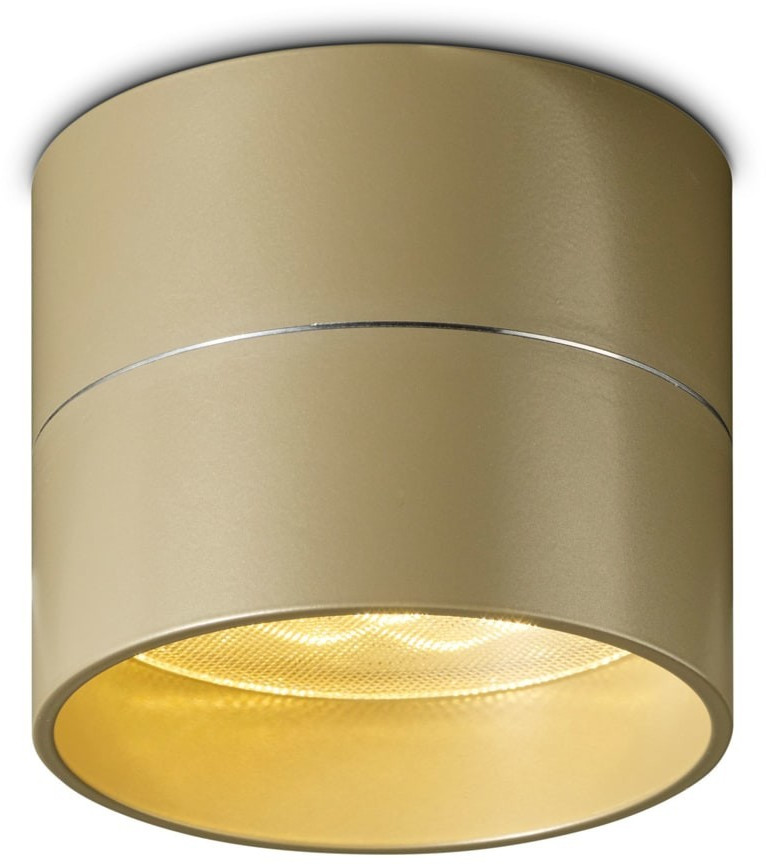 OLIGO Tudor S champagne mat