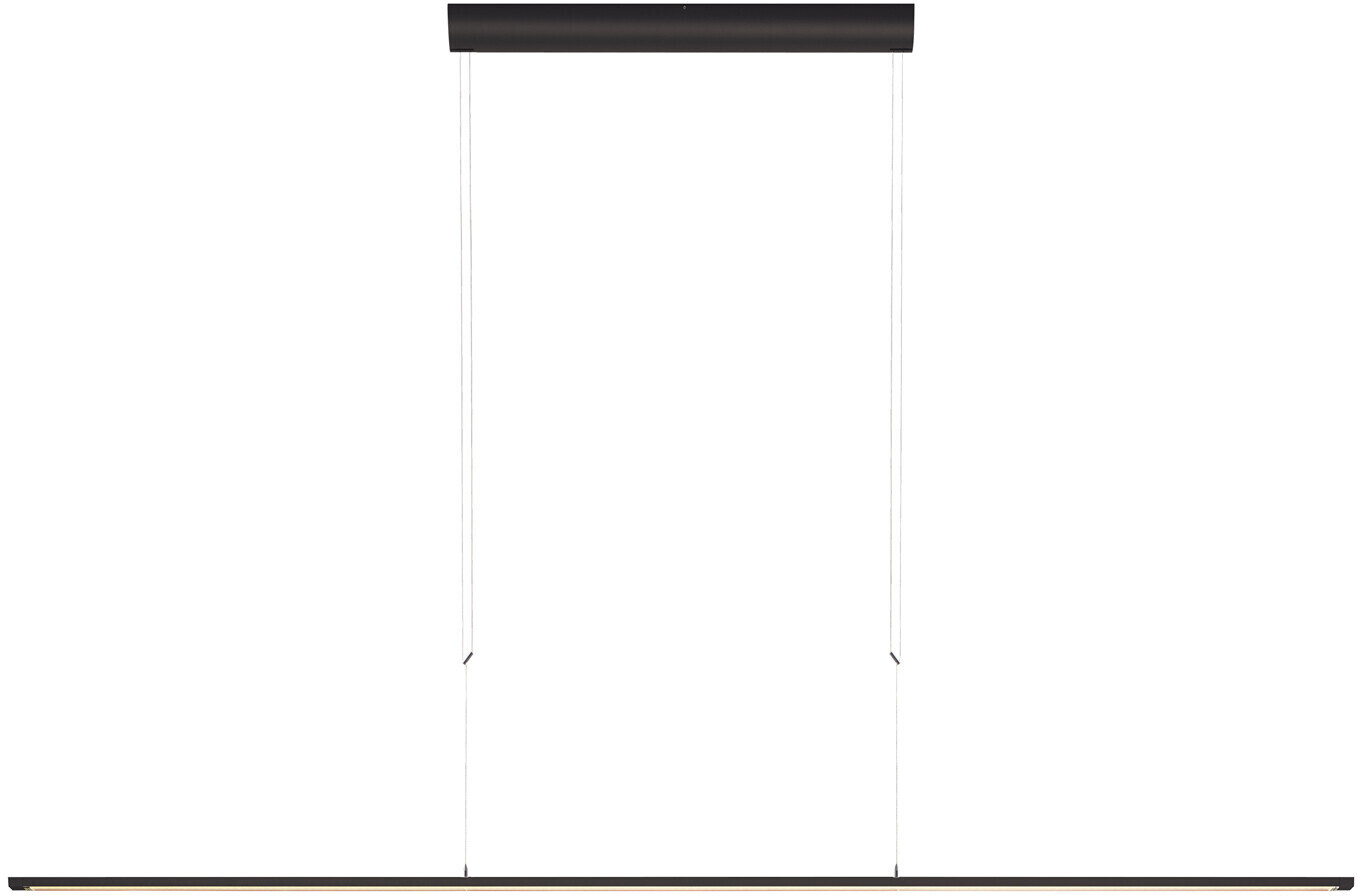 OLIGO OLIGOplus Lisgo Sky Straight Max noir mat