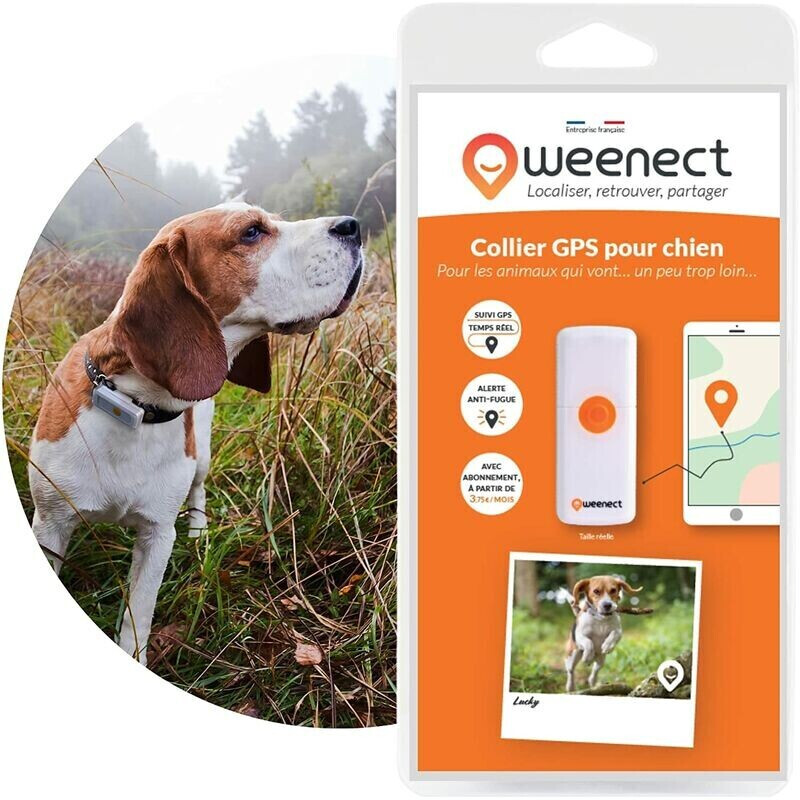 Weenect Collier GPS Dogs 2