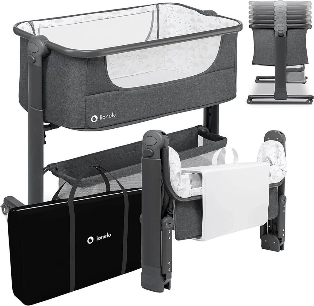 Lionelo Timon grey