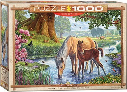 Eurographics Puzzles 6000-0976
