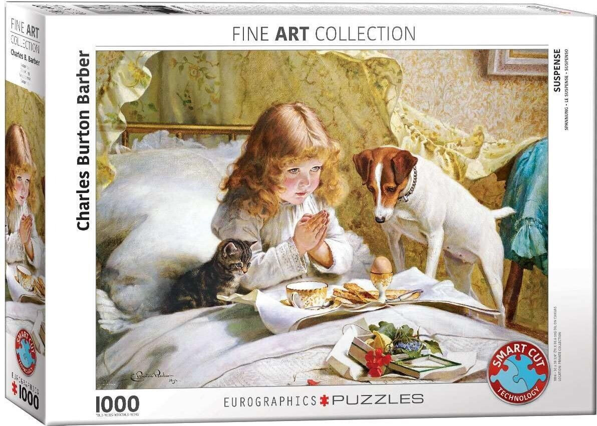 Eurographics Puzzles 6000-5329