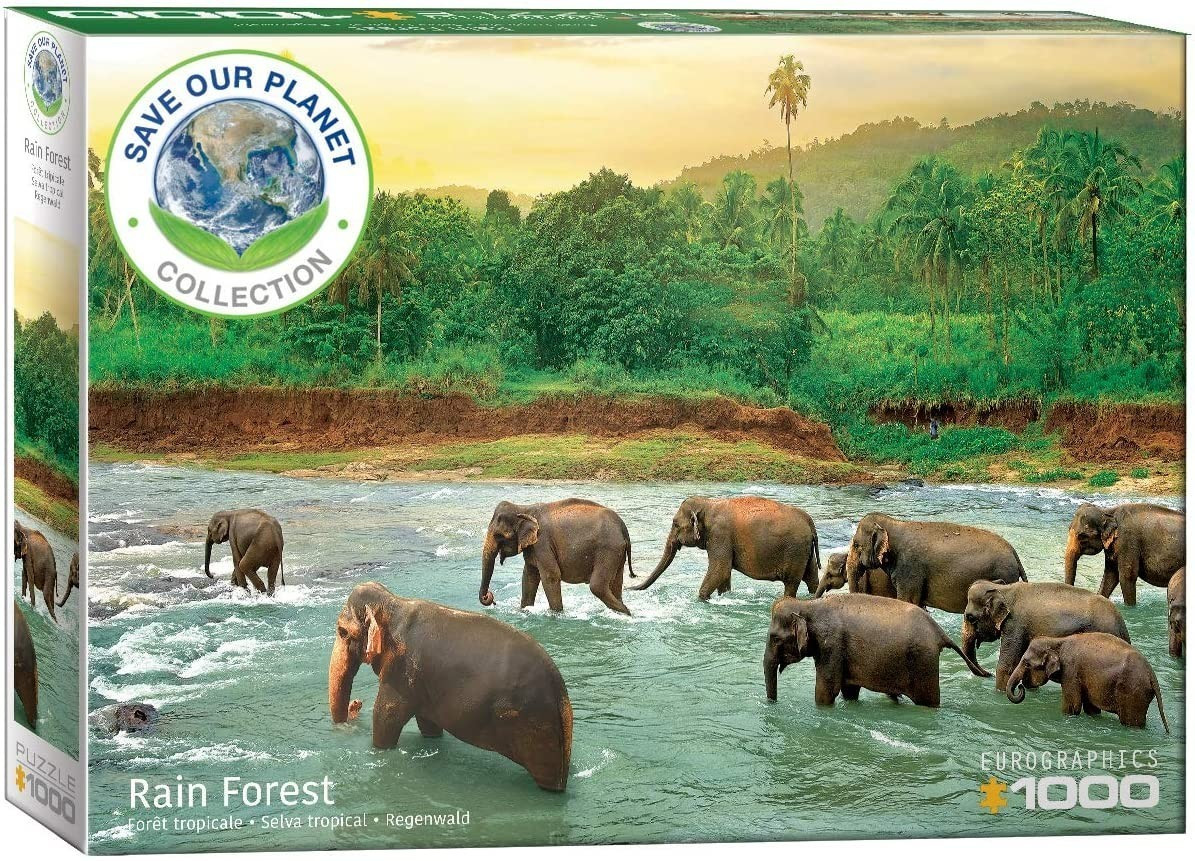 Eurographics Puzzles 6000-5540