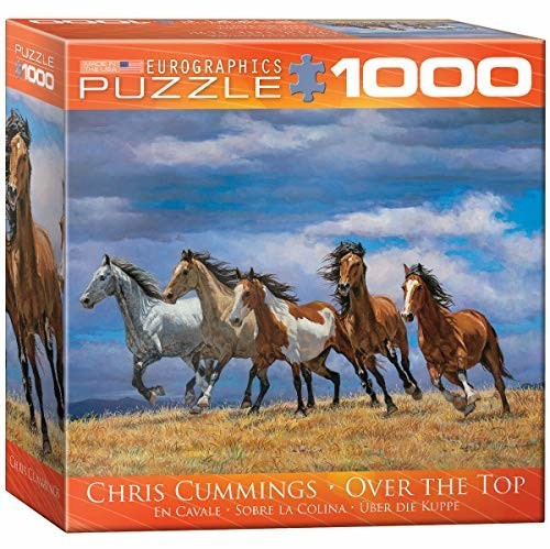 Eurographics Puzzles 8000-0709