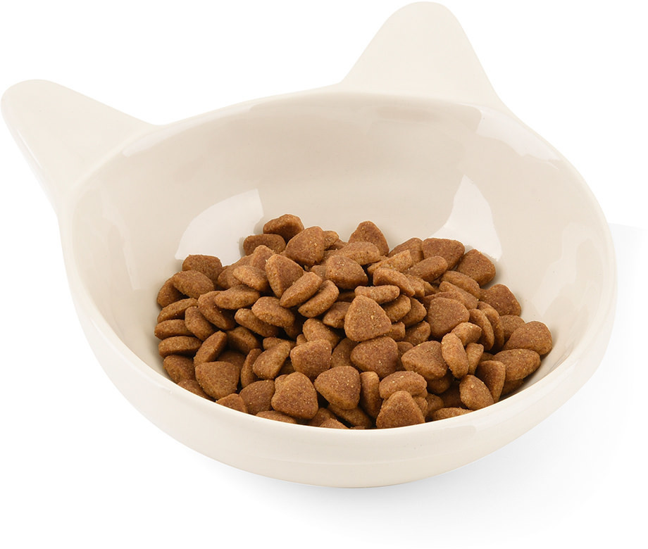 CanadianCat Gamelle pour chat CanadianCat Gamelle pour chat