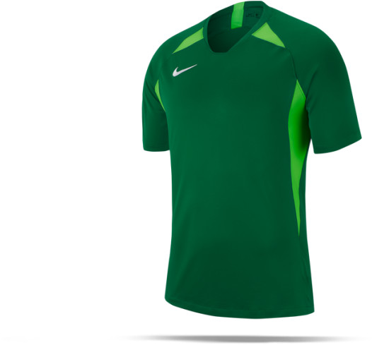 Photos - Football Kit Nike Legend Shirt short sleeve  green (AJ0998-302)