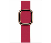 Raspberry modern buckle 2025