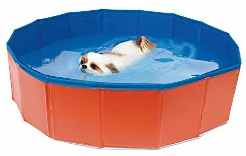 Croci Piscine pour chien 80x20cm Croci Piscine pour chien 80x20cm