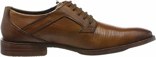 Daniel Hechter Derby Shoes brown (811429061100)