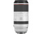 Canon RF 100-500mm f4.5-7.1 L IS USM