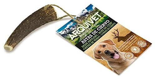 Arquivet deer antler (S)