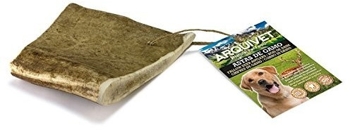 Arquivet fallow deer antler