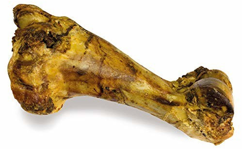 Arquivet beef bone