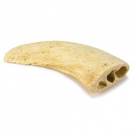 Arquivet horn core