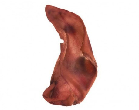 Arquivet pig ear