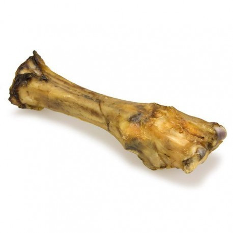 Arquivet beef bone medium