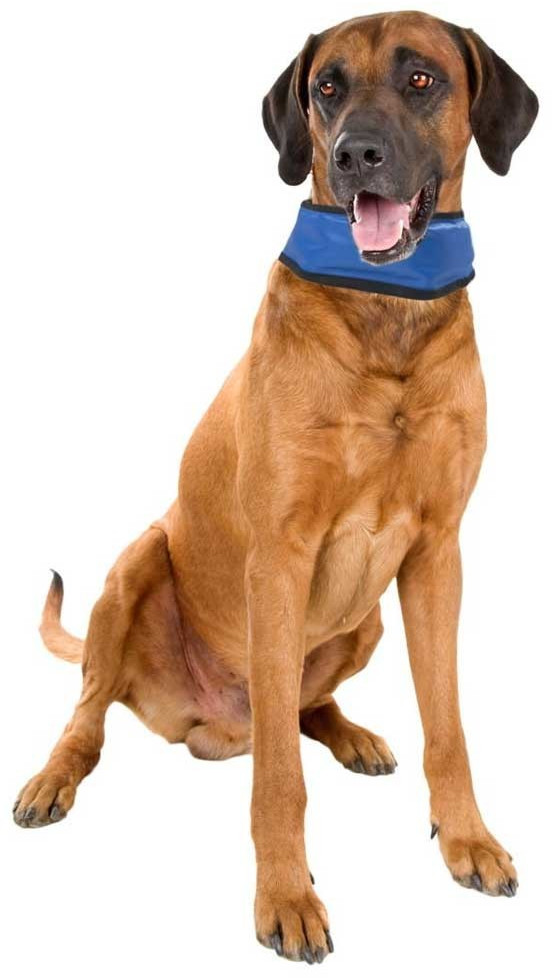 L L