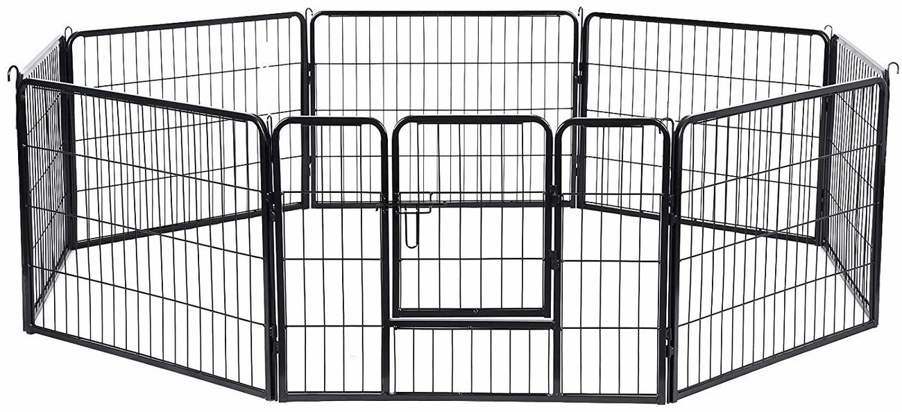 Feandrea PPK86G