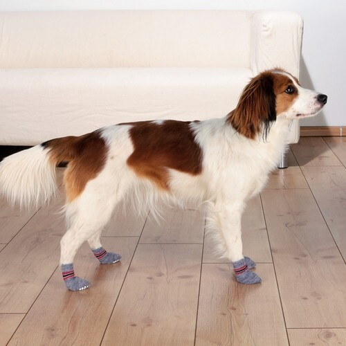 Trixie Chaussettes pour chien XL Grey Trixie Chaussettes pour chien XL Grey