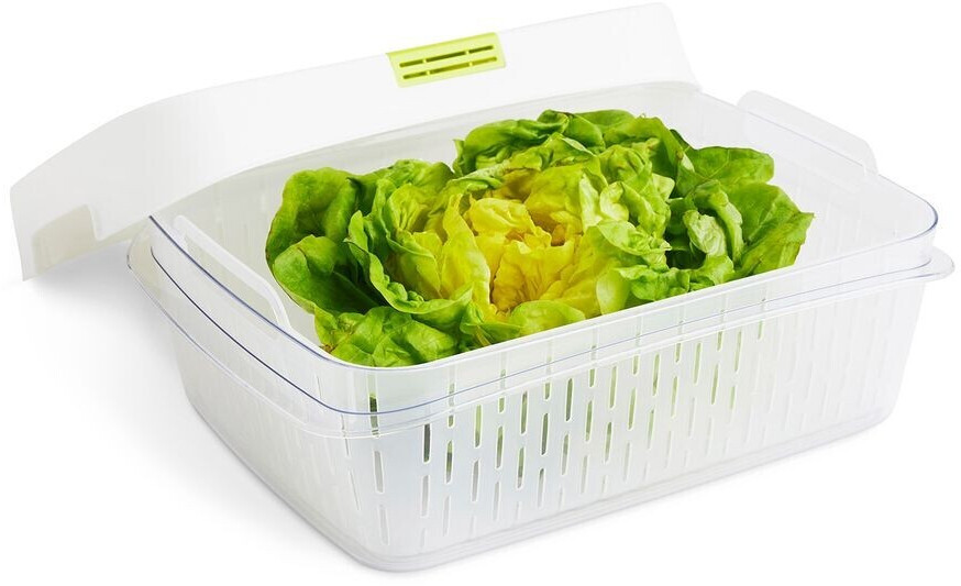 Rothobabydesign Rotho Fresh Dynamic Box Boîte de Conservation avec  Ventilation, Plastique (SAN+PP), Blanc/Vert, 1,6 L - Cdiscount Maison