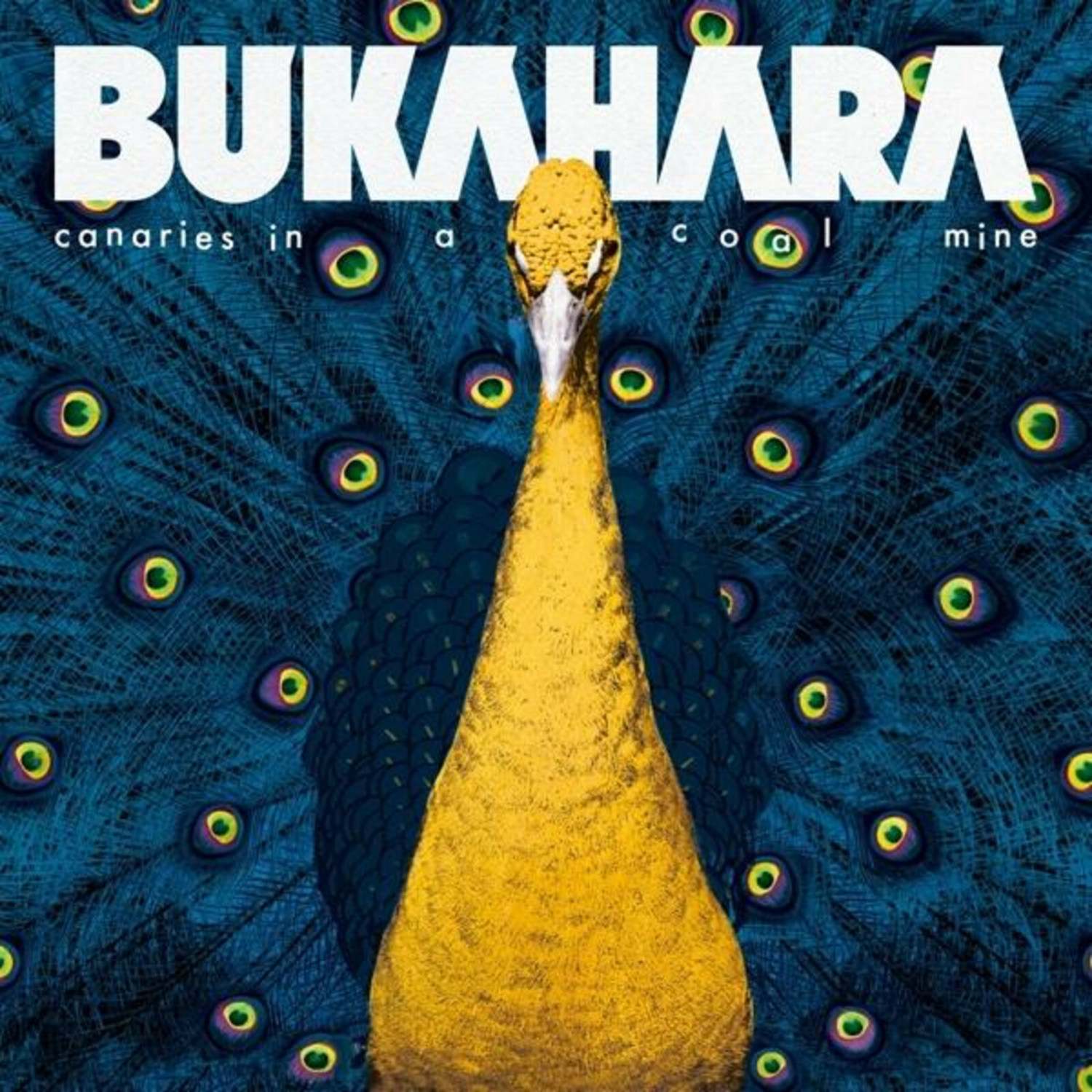 Bukahara - Canaries in a Coal Mine (CD)