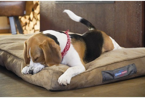 Thermoswitch Tapis pour chien S 50x40cm Brown Thermoswitch Tapis pour chien S 50x40cm Brown
