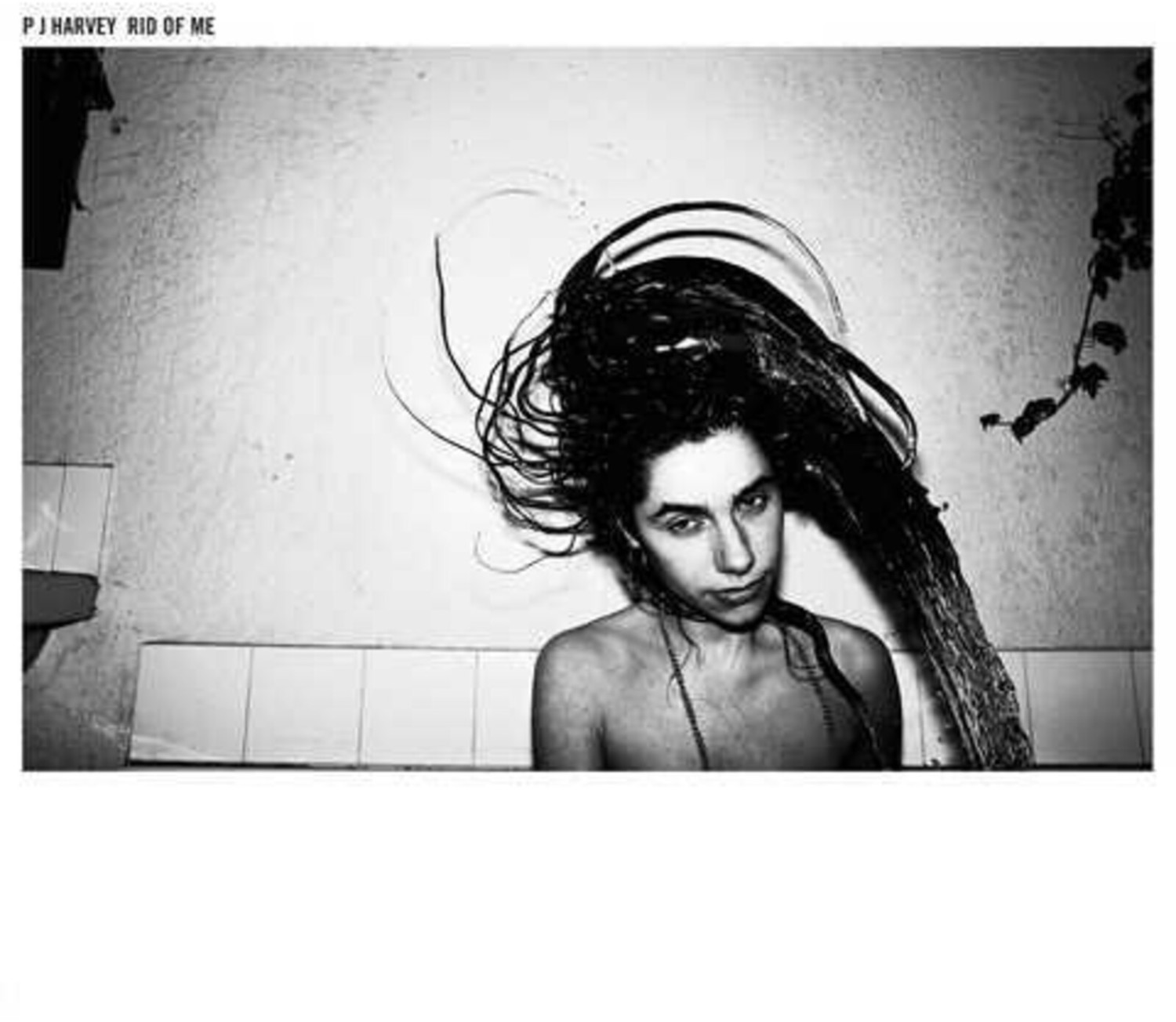 Pj Harvey - Rid Of Me [Vinyl]