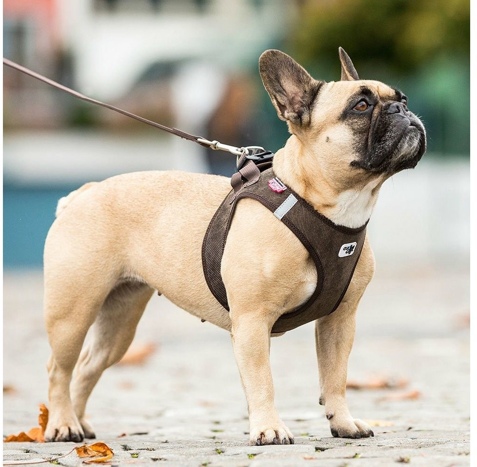 Curli Harnais pour chien Brown 3XS Curli Harnais pour chien Brown 3XS