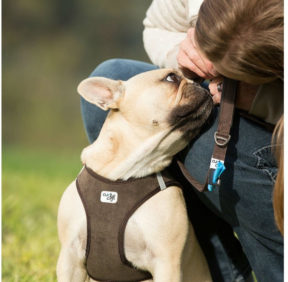 Curli Harnais pour chien Brown 3XS Curli Harnais pour chien Brown 3XS