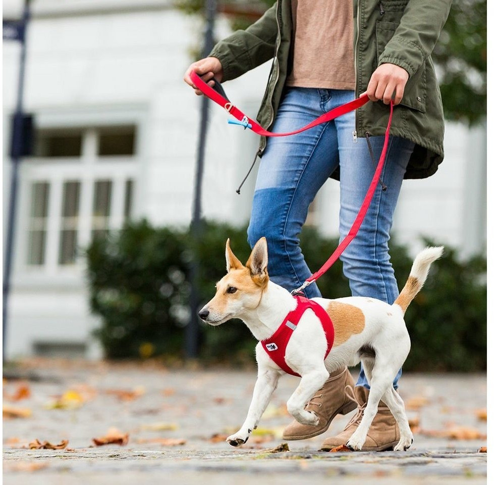Curli Laisse classique pour chien 140x2cm Red Curli Laisse classique pour chien 140x2cm Red