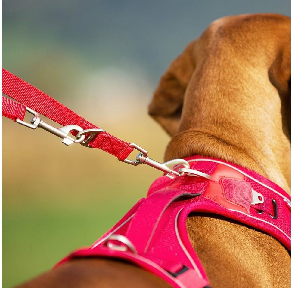 Curli Laisse classique pour chien L Red Curli Laisse classique pour chien L Red