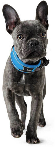 HUNTER Collier pour chien S Light Blue / Grey HUNTER Collier pour chien S Light Blue / Grey