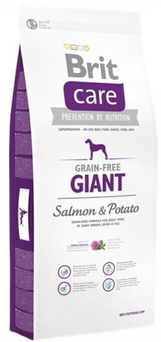 Brit Adult Giant Grain-free Salmon&Potato 3kg