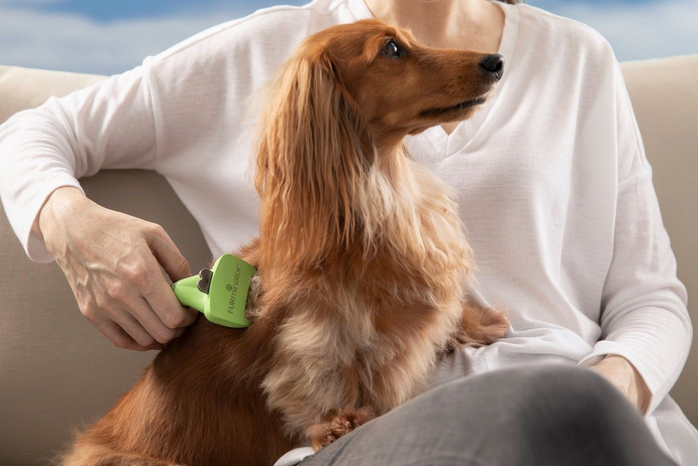 Deshedding tool store for golden retriever