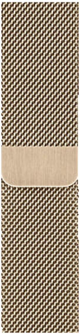 apple 40mm gold milanese loop