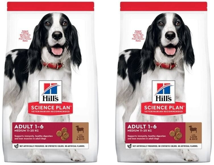 Hills Science Plan Canine Puppy Mit Lamm & Reis – 12 Kg, Für Welpen & Trächtige Hündinnen