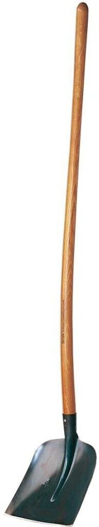SHW Pelle type Holstein (1798477109)
