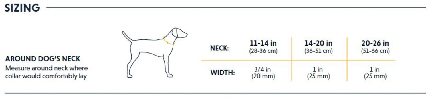 Ruffwear Collier pour chien Blue Dusk S