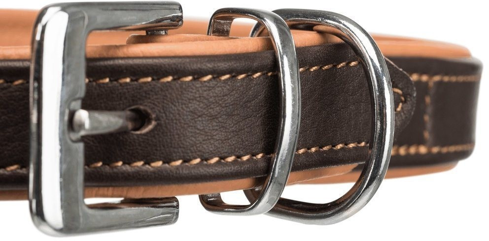 Trixie Collier pour chien brown/light brown M Trixie Collier pour chien brown/light brown M