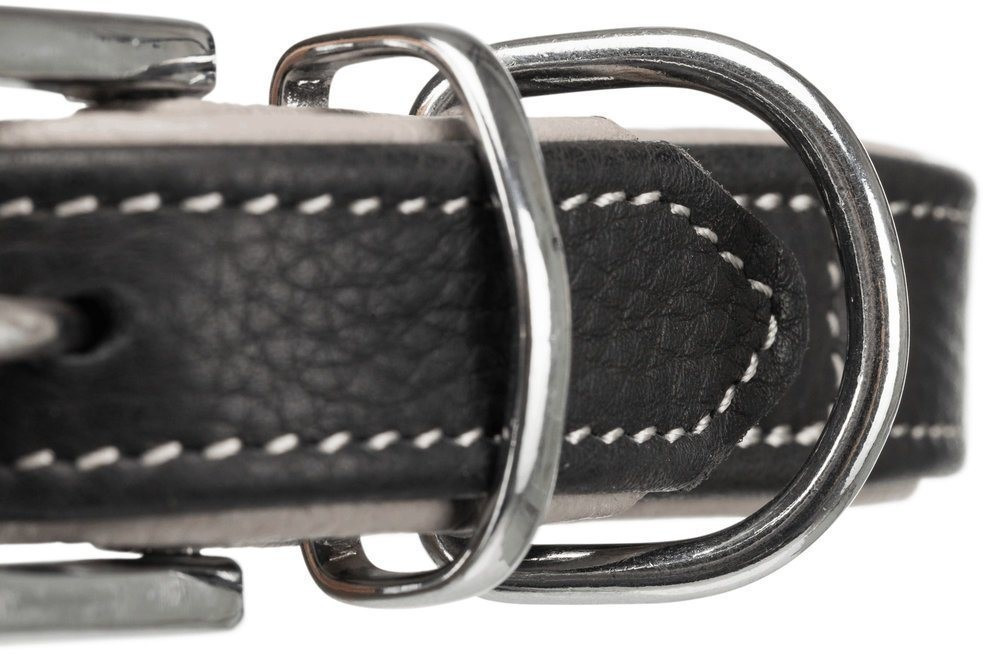 Trixie Collier pour chien black/gray XS-S Trixie Collier pour chien black/gray XS-S