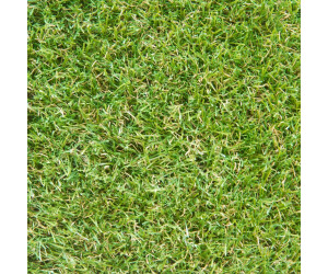 Rasenteppich Kunstrasen Comfort grün 400x350 cm 