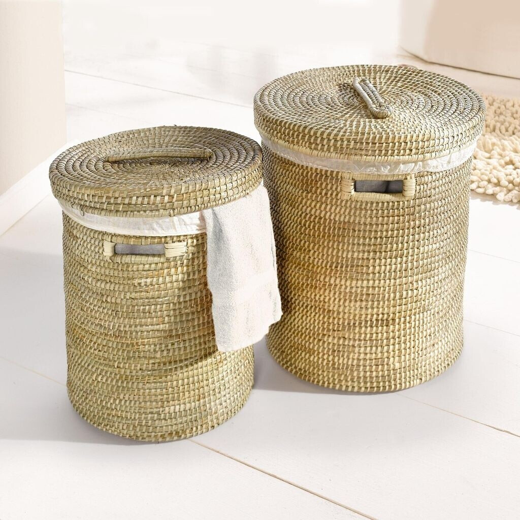 FRANK FLECHTWAREN Dekoblatt Verzweigt 60x30cm - Teebaumzweige Deko Für Wohnraum